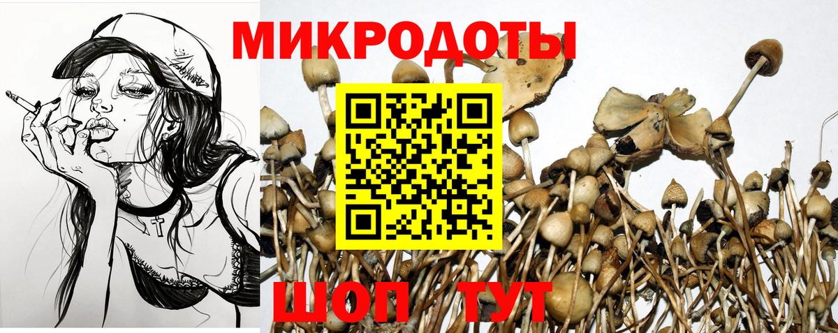Галлюциногенные грибы Psilocybe  закладки  Южно-Сахалинск  Вход с VPN 